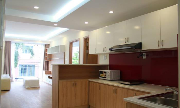 New Serviced Apartment in District 1, HCMC