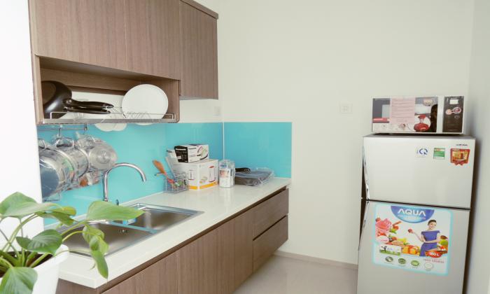 Newly Studio Serviced Apartment For Rent in Thao Dien District 2 HCMC
