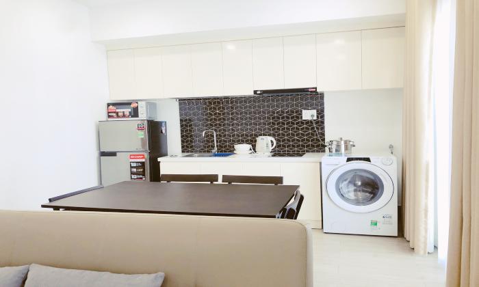 Clean Nice And Bright One Bedroom Serviced Apartment For Rent in Thao Dien District 2 HCMC