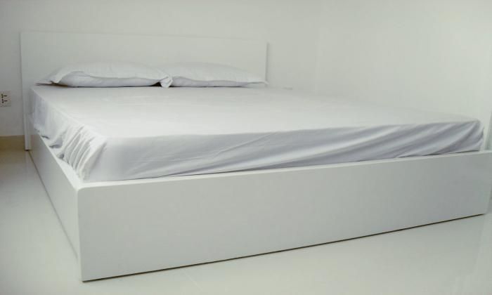 Western Stylish Serviced Apartment For Rent - Ho Chi Minh City