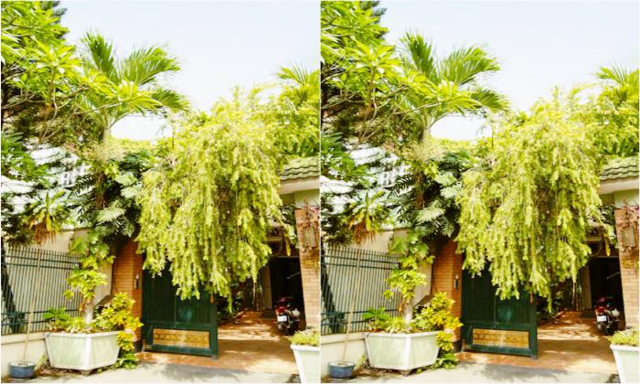 Nice Villa Garden For Rent in Thao Dien Ho Chi Minh City